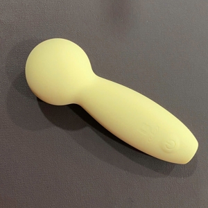 Chày rung mini cao cấp Blenva