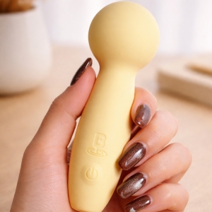 Chày rung mini cao cấp Blenva